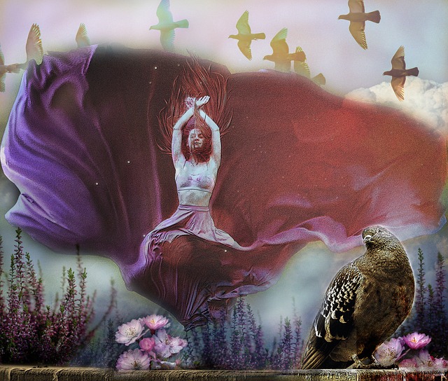 火箭提供异 火箭提供异